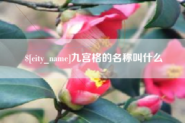 大悟九宫格的名称叫什么