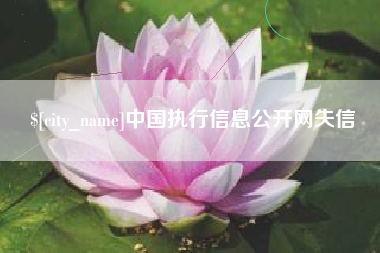 大悟中国执行信息公开网失信