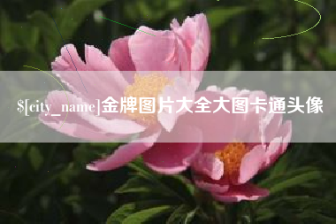 大悟金牌图片大全大图卡通头像