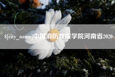 大悟中国消防救援学院河南省2020